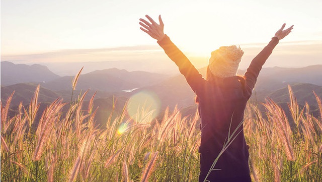 אף אוזן גרון בראייה הסינית
