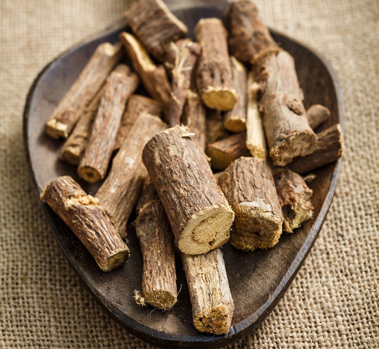 שוש קירח | Glycyrrhiza glabra