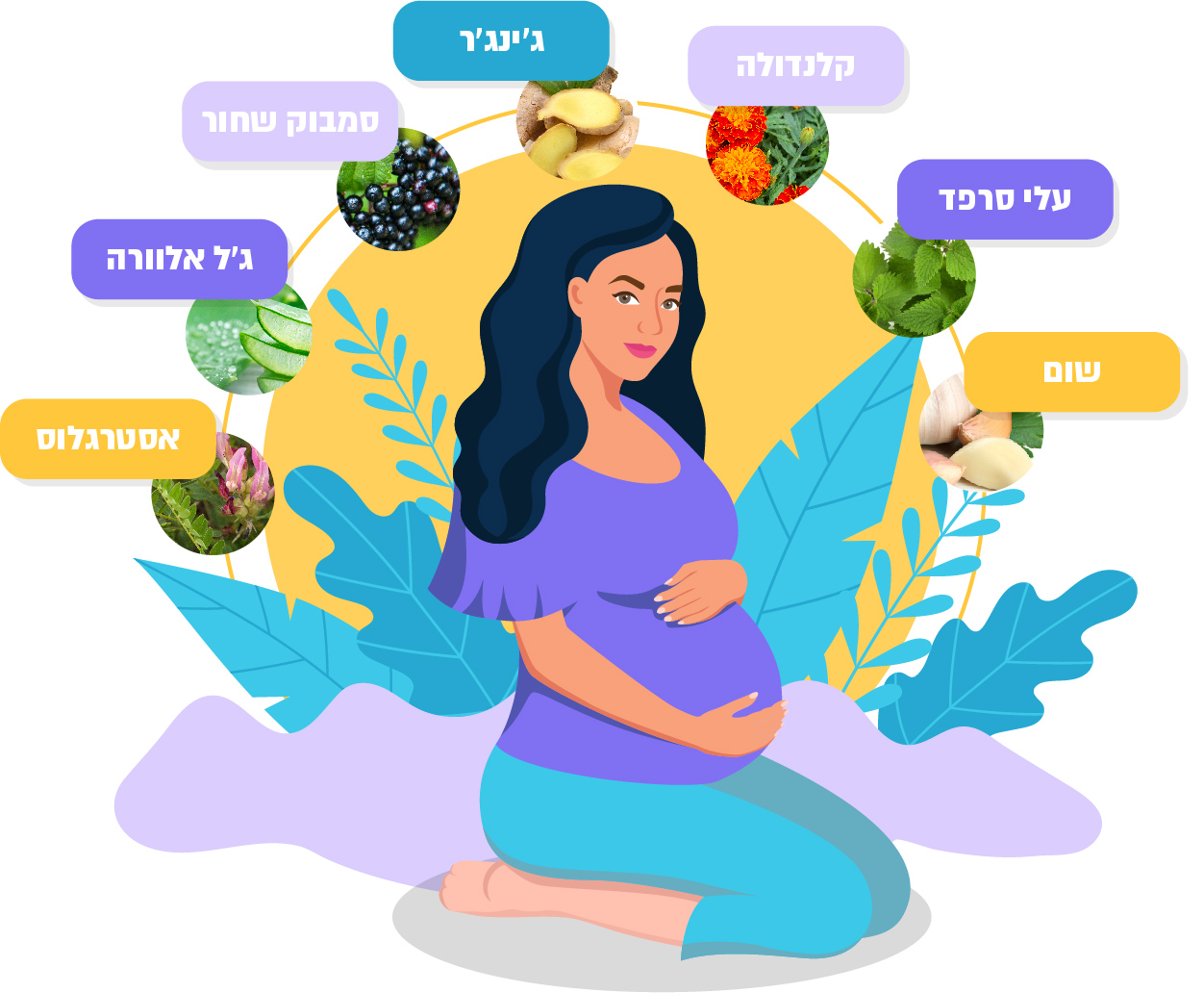 המלצות על צמחי מרפא לתקופת ההריון