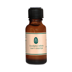 שמן אתרי אקליפטוס רדיאטה | Eucalyptus radiata