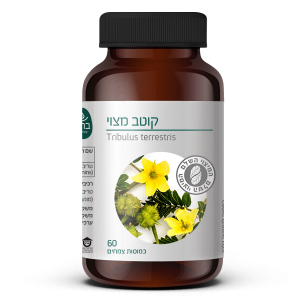 Tribulus terrestris leaves | קוטב מצוי