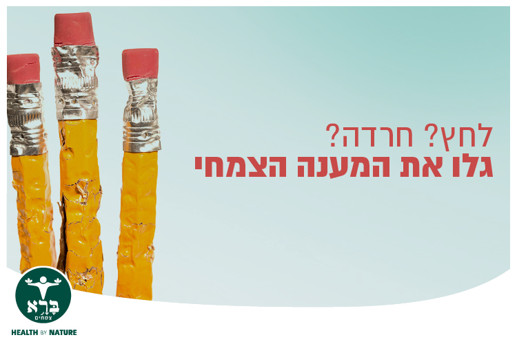 ייעוץ במענה להתמודדות עם חרדה